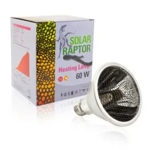 Heizlampe für Terrarium 230V